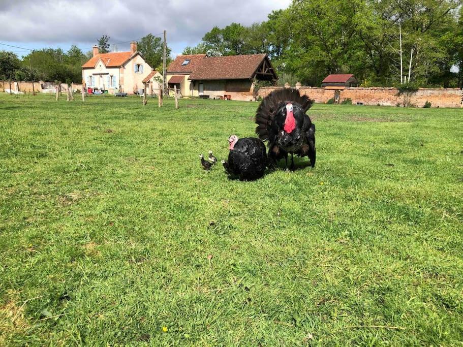 Maison Au Milieu Des Bois Et Des Animaux Jouy-le-Potier Exterior foto