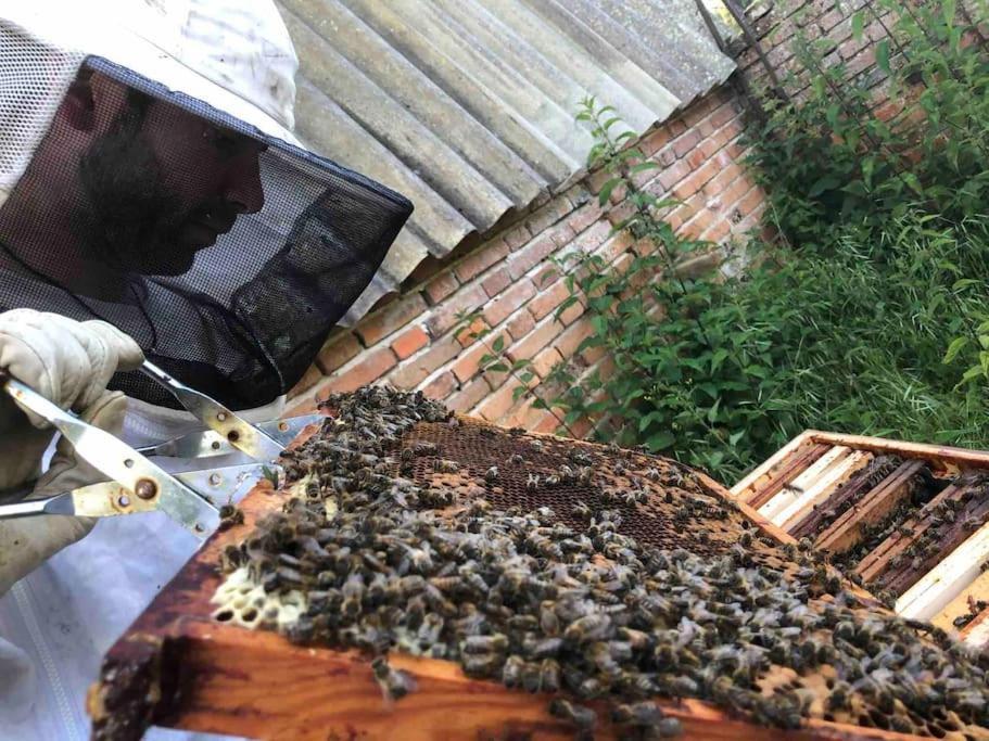 Maison Au Milieu Des Bois Et Des Animaux Jouy-le-Potier Exterior foto